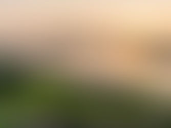 St. Augustine Vacation Rentals: Busy Season Is Coming Fast—Here’s Why You Should Book Now