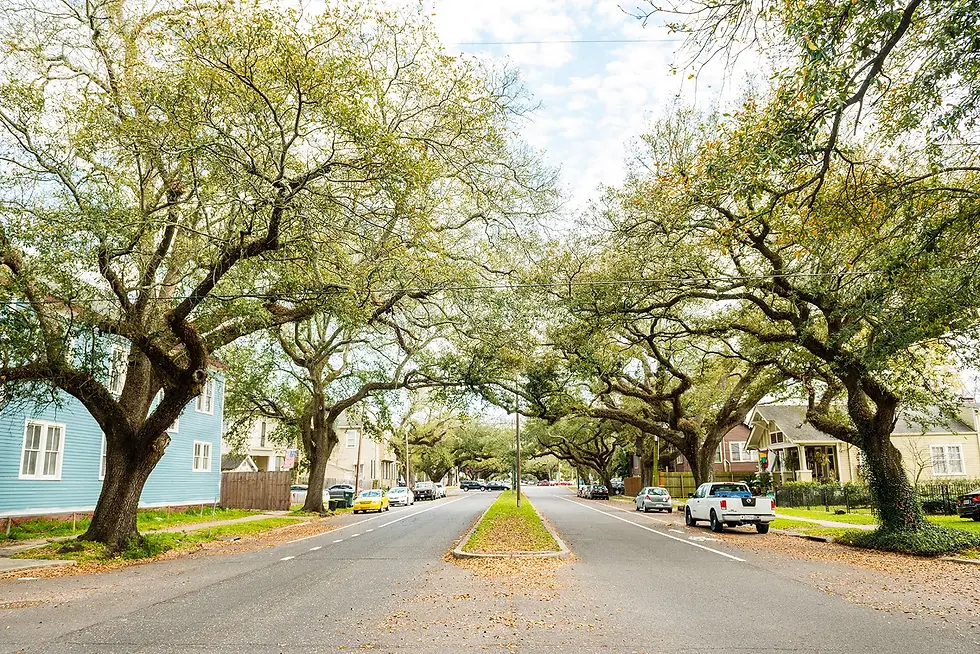 Revitalization with Roots: A Conservative Case for Responsible Growth in New Orleans