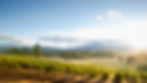 AdobeStock_280313729.jpeg