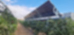 AdobeStock_1628664617.jpeg