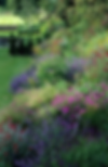 Lush garden with vibrant pink, purple, and yellow flowers on a sloped hill. Green grass and trees in the background. Peaceful setting.