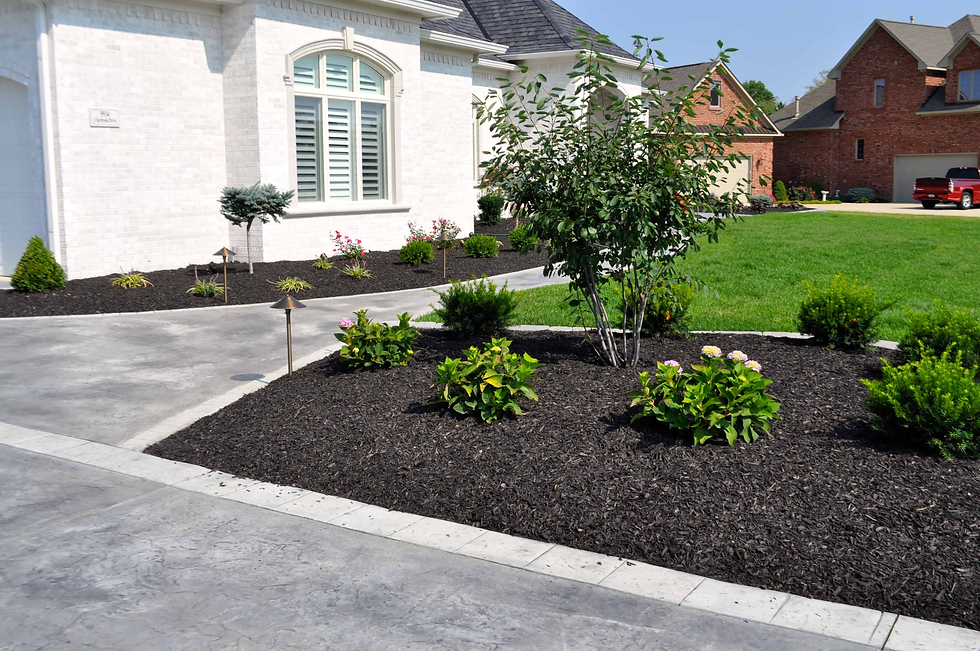 Mulched Bed