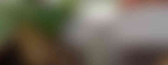 Salz wirkt energetisch reinigend und schützend. Es entfernt Flüche, Neid und Missgunst. Du solltest regelmößig mit Salz duschen.