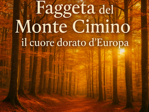 🍁 “When the trees undress, Tuscia dresses in magic”