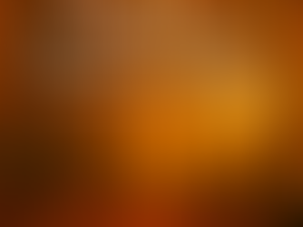 🍁  "Foliage" “Quando gli alberi si spogliano, la Tuscia si riveste di magia”