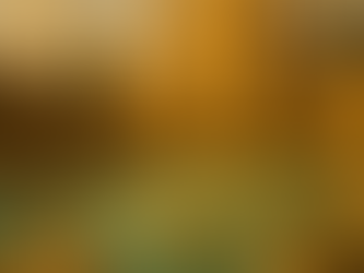 ♨️ The Terme dei Papi: when water meets history