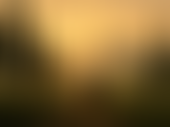 🚶♀️ Sulla Francigena, verso Viterbo: il passo lento che fa bene al tempo