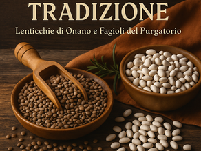 🌾 Heirloom Legumes: Onano Lentils and Purgatorio Beans