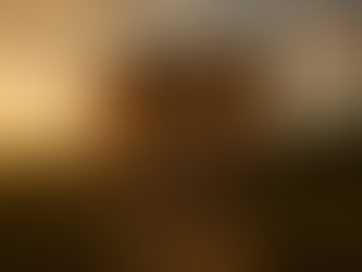 🏛️ Palazzo Farnese: The Stone Dream That Reached the Sky