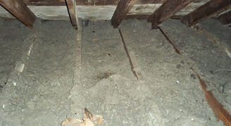 Should I remove old insulation?