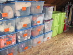 Attic Storage and Flooring Above Garage
