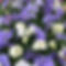 31403929_871977156296725_292902888252899328_n.jpg