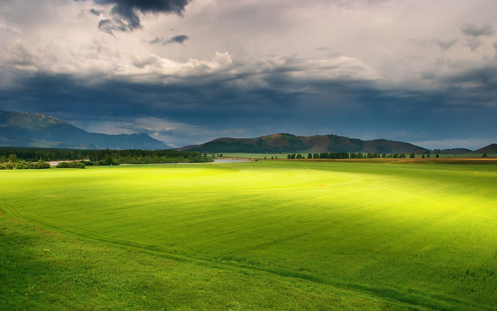 Beautiful-green-fields-farmland-trees-mountains-clouds_2560x1600.jpg