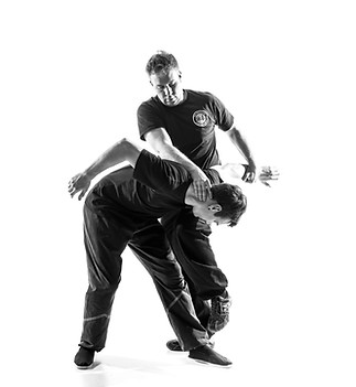 WingChun.jpg