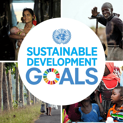Web-button-for-SDGs-smaller.webp