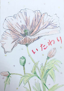 2入賞2.jpg