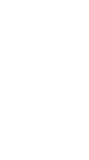 white knight 50%.png