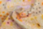 Wilde bloemen pastel