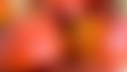 The season was short!