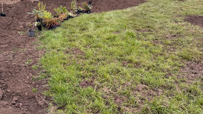 Garden Project