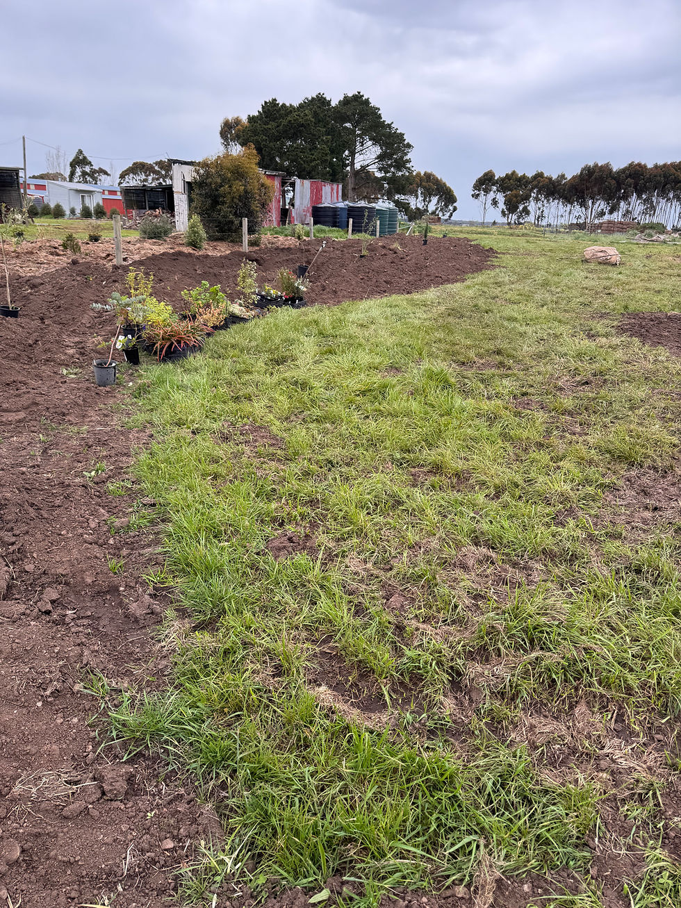 Garden Project