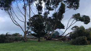 Damaging winds!