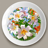 1RinatK.Lilies White(Plate).jpg