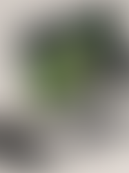 《 Google 》全新 Pixel 裝置登場