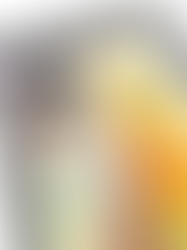 《 OPPO 》Reno 8 T
