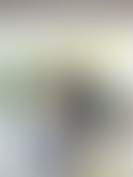 《 Google 》Google Home 新 AI 功能可建立自訂例程