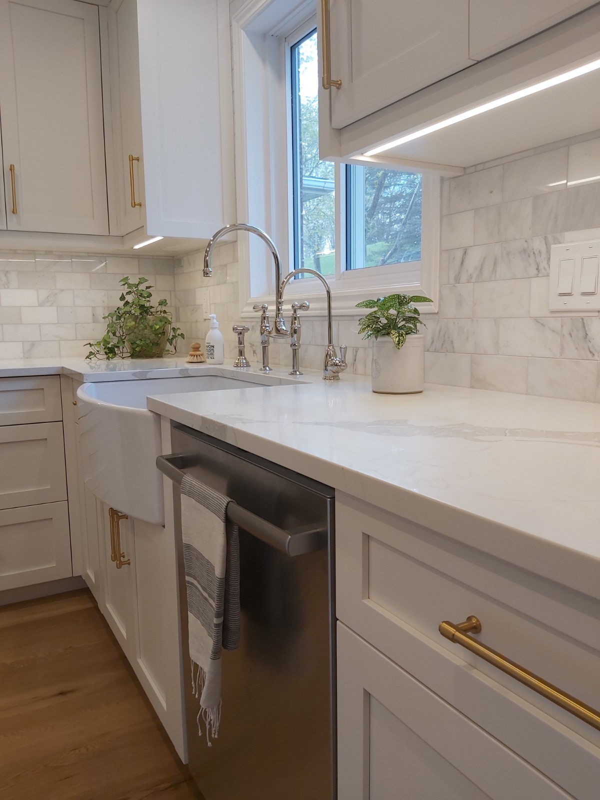 Ptarmigan Dr. Kitchen 3