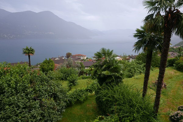Big garden