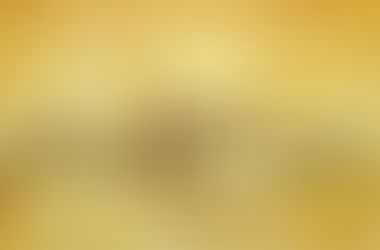 Egypt Law : Sales Defect