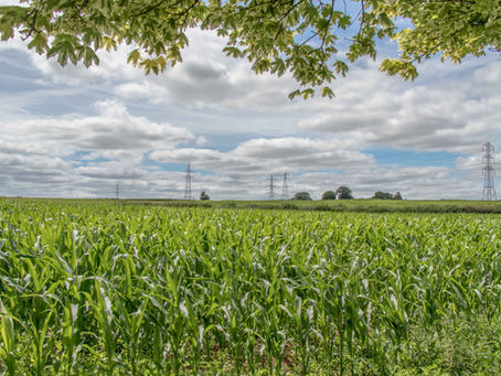 Welcome to our new look website!