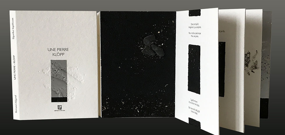 Livre d'artiste Une pierre de Sigurdur Ingolfsson et Bernard Alligand. Editions d'art FMA