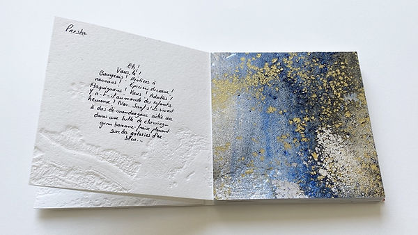 LAZZI (1) Paloma Hermina Hidalgo, Bernard Alligand © Éditions dart FMA #bibliophiliecontemporaine #poésie #livresd'artiste