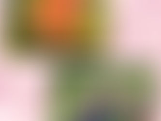 TSURUMIこどもホスピスのメンテナンス作業