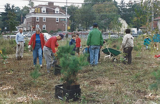South Ravine -1995 Tree Planting 2.jpg