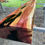 Thumbnail: EPOXY CEDAR FIREPLACE MANTLE