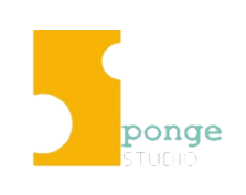Sponge Studio