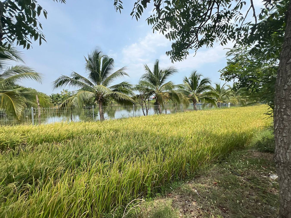 Nakhon Pathom School
