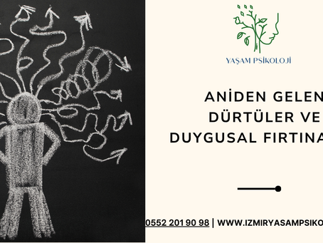 Aniden Gelen Dürtüler ve Duygusal Fırtınalar: Borderline Kişilik Yapılanmasında Dürtüsellik