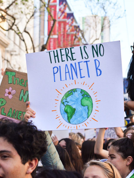 Combating The Climate Crisis by Going Vegan