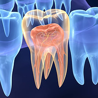 endodontia_2.jpg