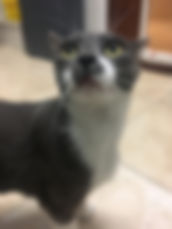 IMG_8981.jpeg