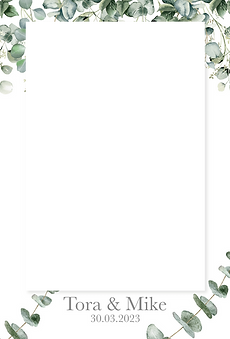 Tora3003single.png
