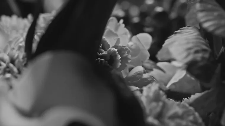 Home Dralms Discover more music, concerts, videos, and pictures with the largest catalogue online at last.fm. home dralms