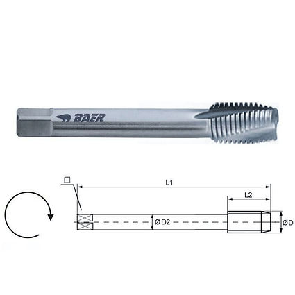 Maschio a MACCHINA CORTO Forma C, a spir. 15°, Uso generale, TR