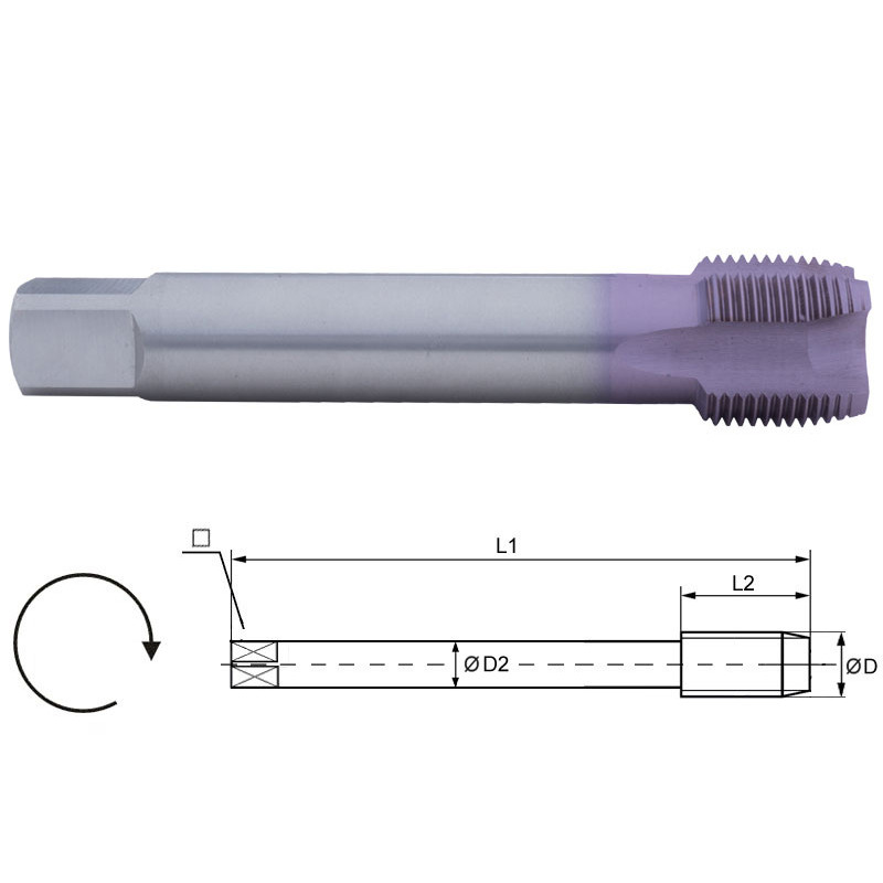 Maschio per inox - 1" Gas (BSP)