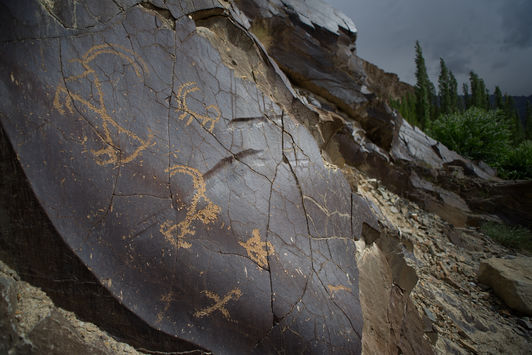 Rewilding the History Period (40 minutes)